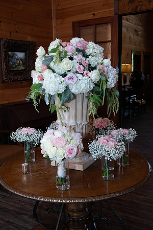 Elizabeth and Todd's Wedding 2019