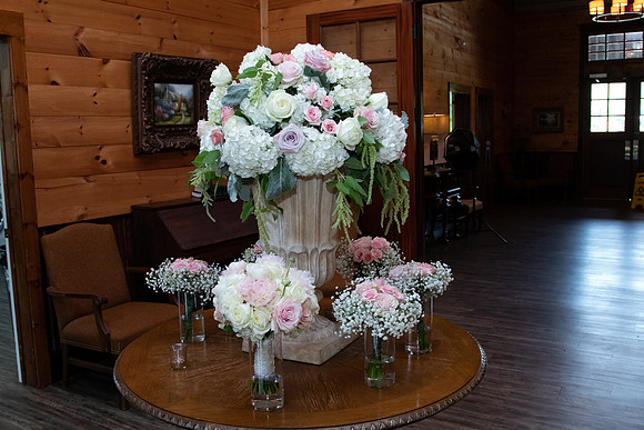 Elizabeth and Todd's Wedding 2019