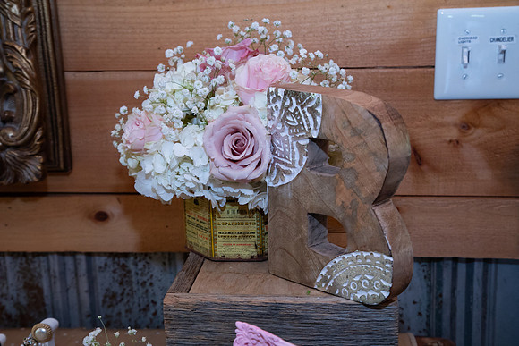 Elizabeth and Todd's Wedding 2019