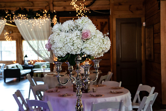 Elizabeth and Todd's Wedding 2019