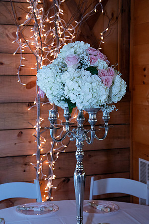 Elizabeth and Todd's Wedding 2019
