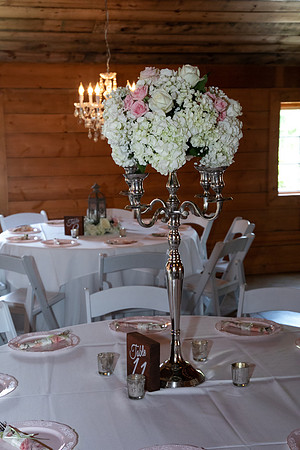 Elizabeth and Todd's Wedding 2019