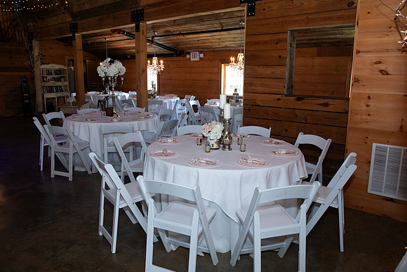 Elizabeth and Todd's Wedding 2019