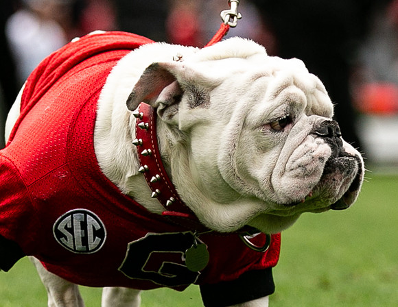 UGA X