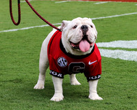 Meet Que, soon to be Uga X by Blane Marable Photography
