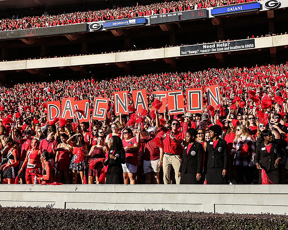 Georgia vs SC by Blane Marable Photography