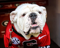 Georgia vs Alabama