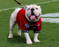 Meet Que, soon to be Uga X by Blane Marable Photography