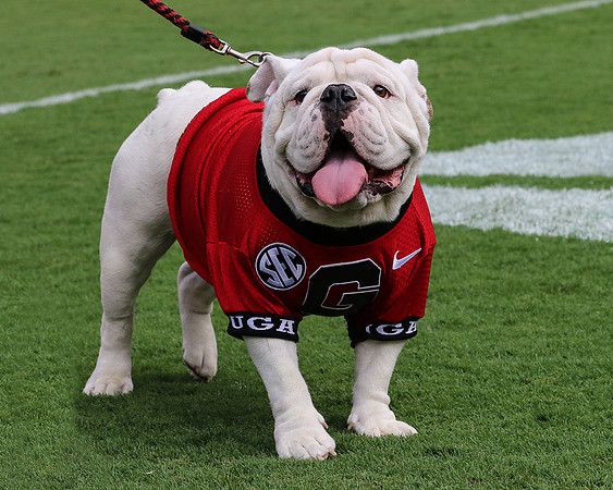 Meet Que, soon to be Uga X by Blane Marable Photography