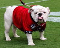Album #1 of 2 - Georgia vs ULM by Blane Marable Photography