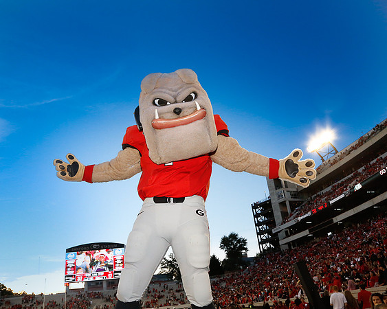 Georgia vs Vandy - Homecoming 2014