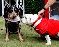 Georgia vs Tennessee Football 2014
