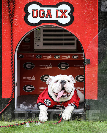 UGA X