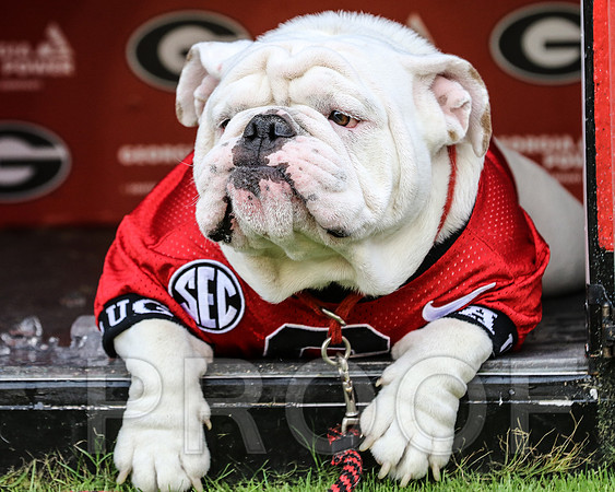 UGA X