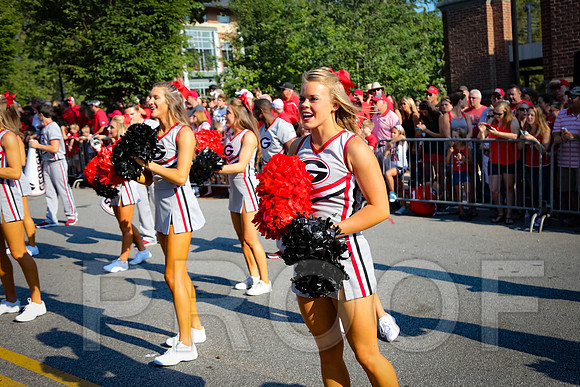 Georgia vs Nicholls 2016 Football