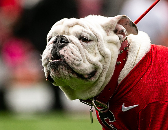 UGA X