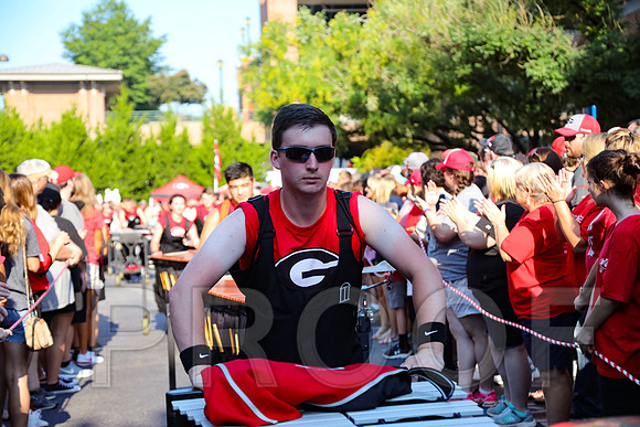 Georgia vs Nicholls 2016 Football