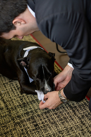 Sarah & Chris - Wedding Day