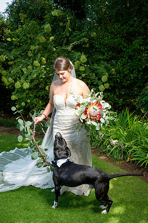 Sarah & Chris - Wedding Day
