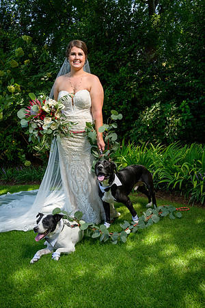 Sarah & Chris - Wedding Day