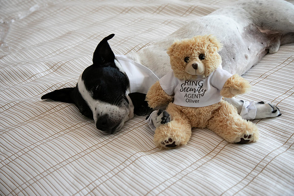 Sarah & Chris - Wedding Day