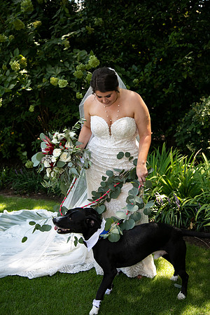 Sarah & Chris - Wedding Day