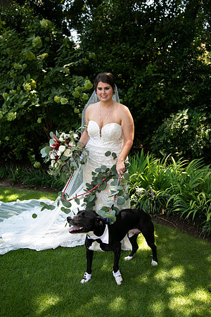 Sarah & Chris - Wedding Day