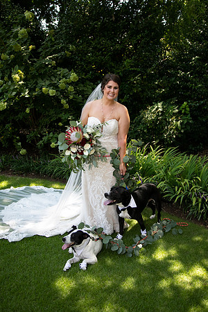 Sarah & Chris - Wedding Day