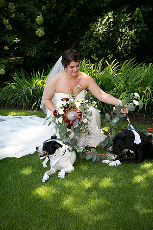 Sarah & Chris - Wedding Day