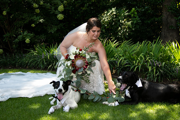Sarah & Chris - Wedding Day