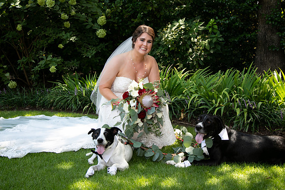 Sarah & Chris - Wedding Day
