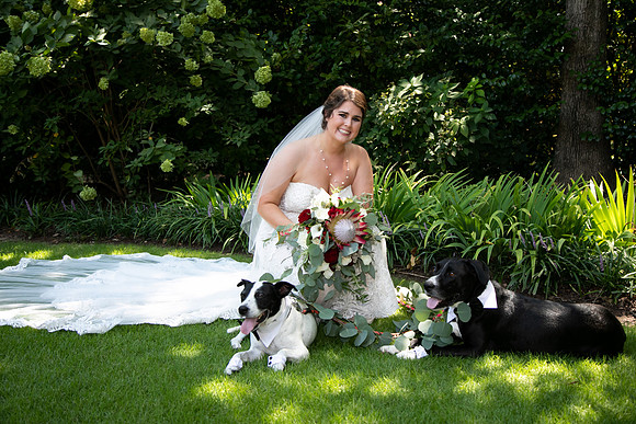 Sarah & Chris - Wedding Day