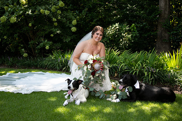 Sarah & Chris - Wedding Day