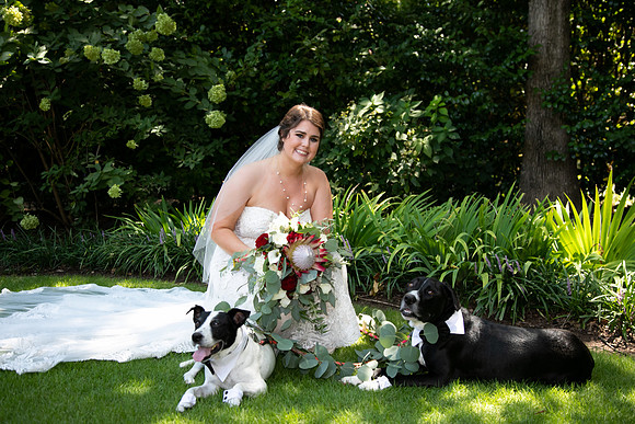 Sarah & Chris - Wedding Day