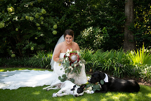 Sarah & Chris - Wedding Day
