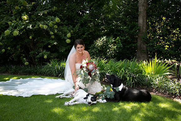 Sarah & Chris - Wedding Day