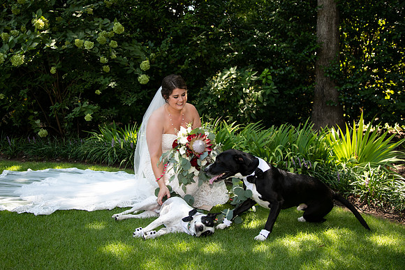 Sarah & Chris - Wedding Day