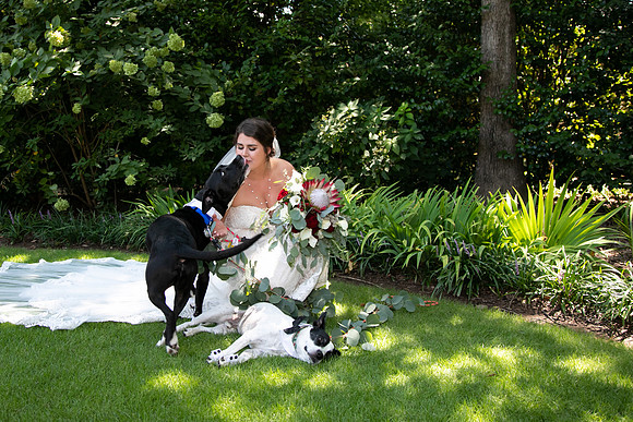 Sarah & Chris - Wedding Day
