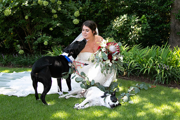 Sarah & Chris - Wedding Day