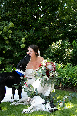 Sarah & Chris - Wedding Day