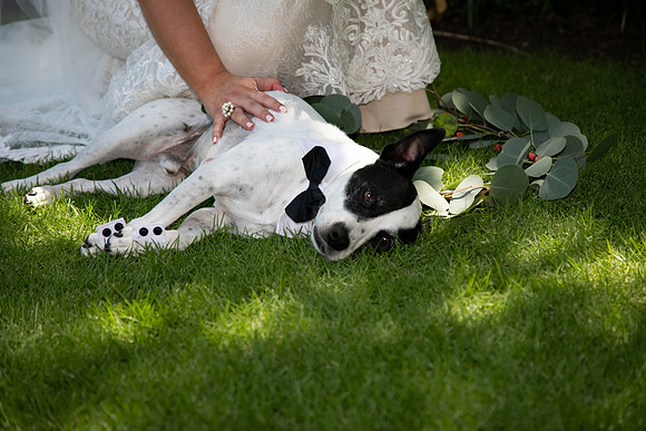 Sarah & Chris - Wedding Day