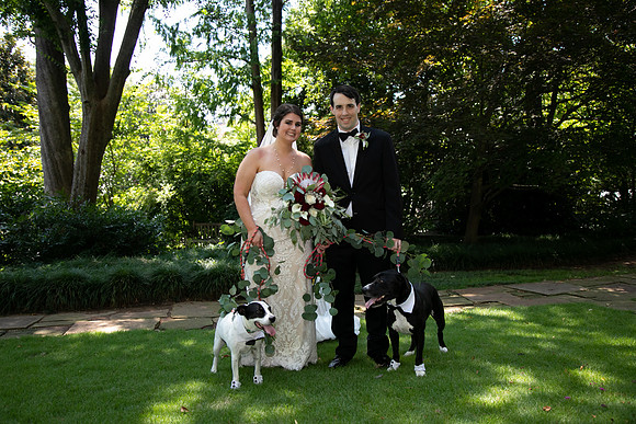 Sarah & Chris - Wedding Day