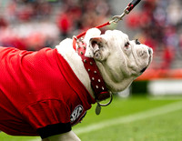 UGA X