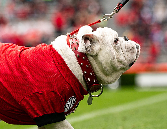 UGA X