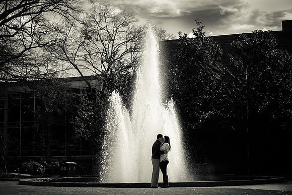 Stephen's Proposal to Aysha