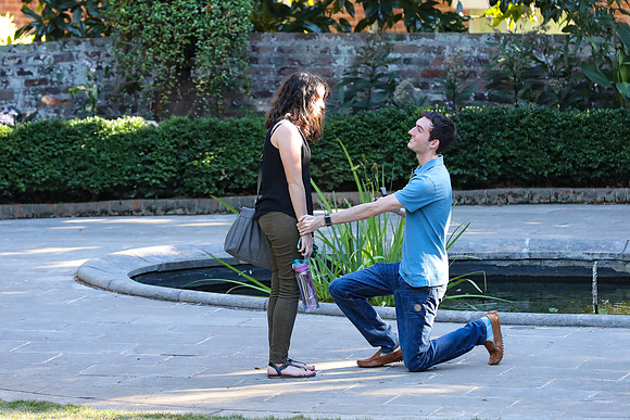 Stephen's Proposal to Morgan 2016