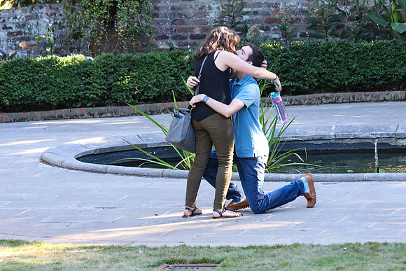 Stephen's Proposal to Morgan 2016