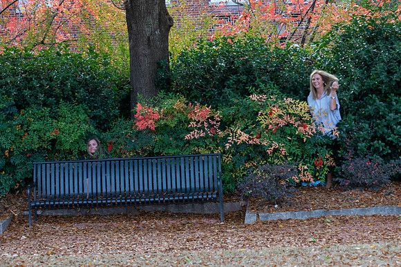 Amber and Garrett  - Proposal