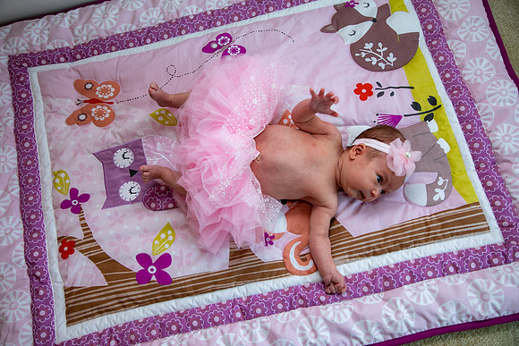 Newborn Photo Session 2020