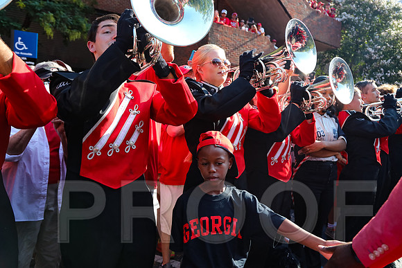 Georgia vs Nicholls 2016 Football